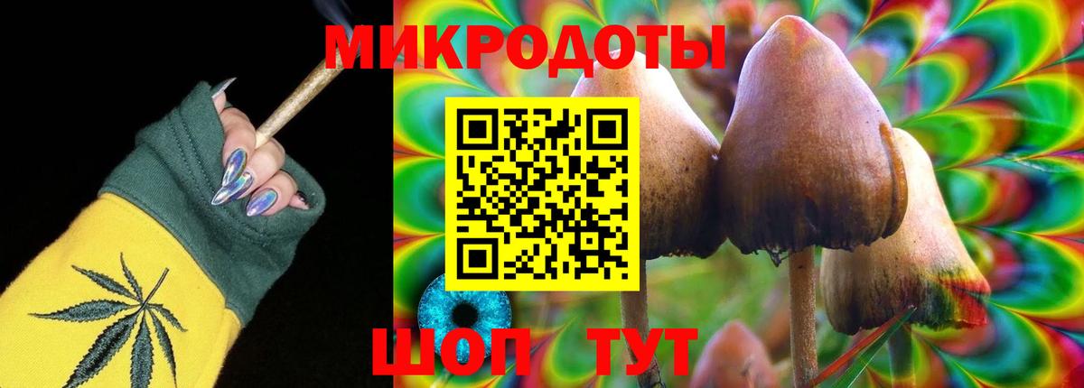 Псилоцибиновые грибы MAGIC MUSHROOMS  Вход с VPN  купить  сайты  Зеленогорск 